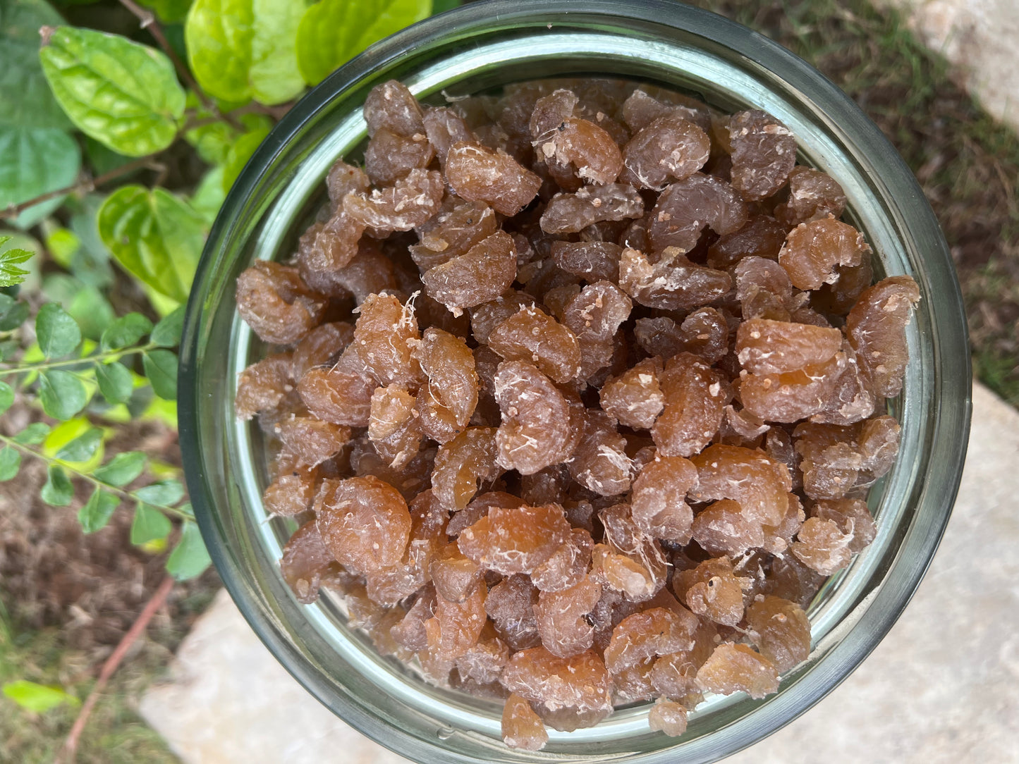 Tattvéd Amla Jam - product image 5