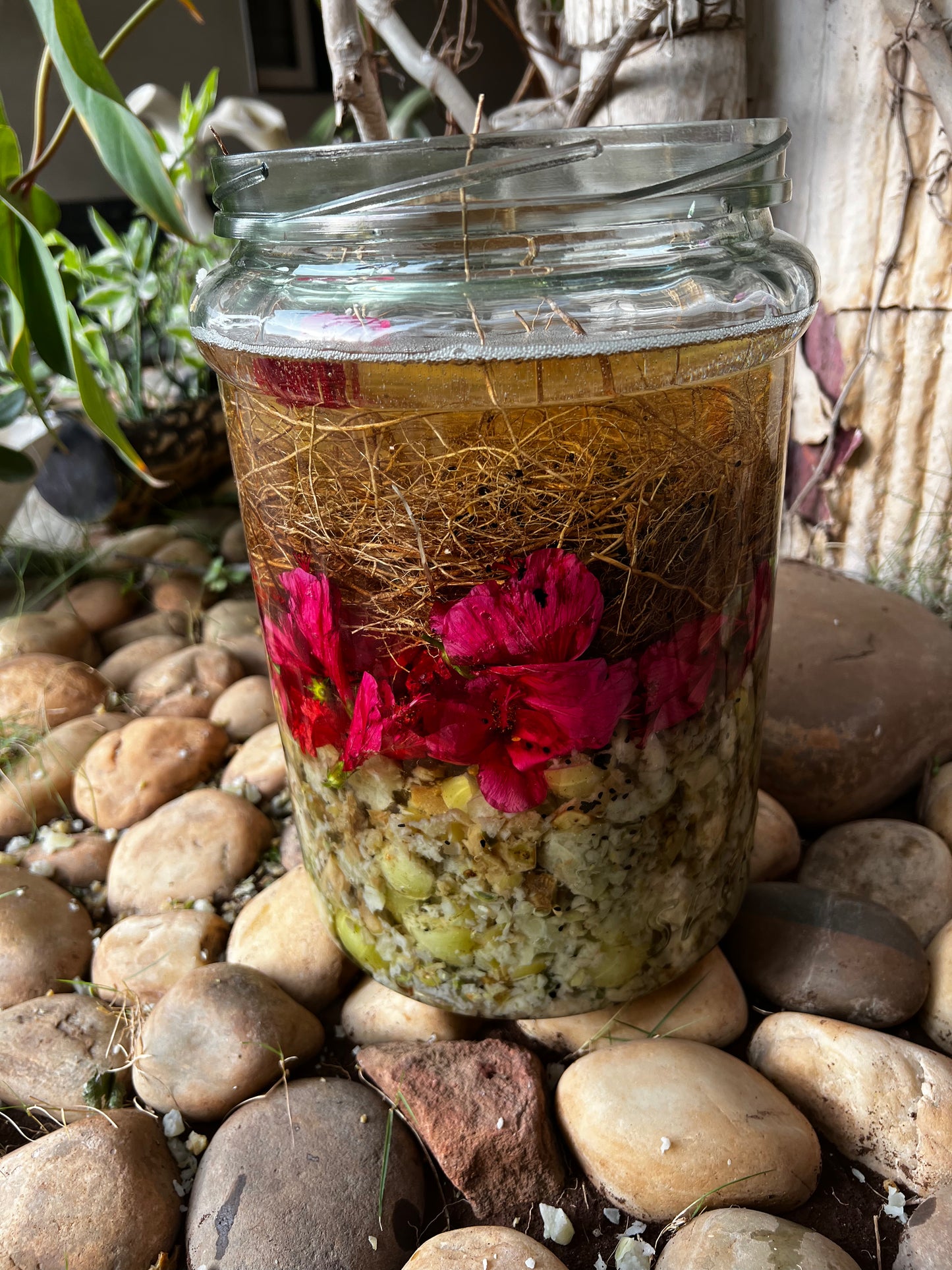 Tattvéd Amla Hibiscus Oil - product image 3