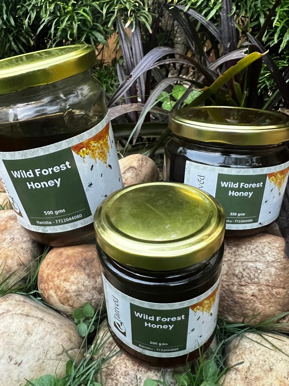 Tattvéd Wild Forest Honey - product image