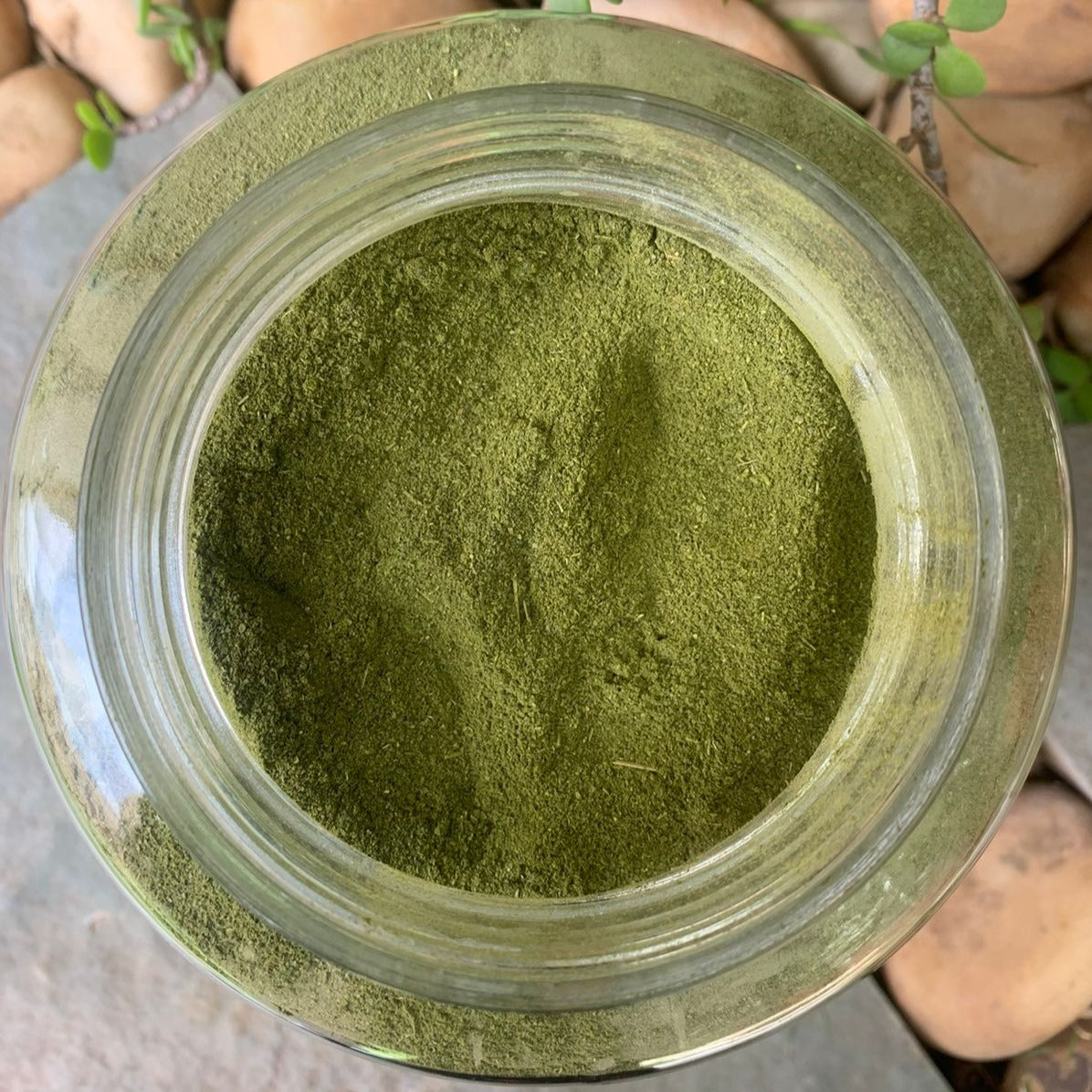 Moringa powder