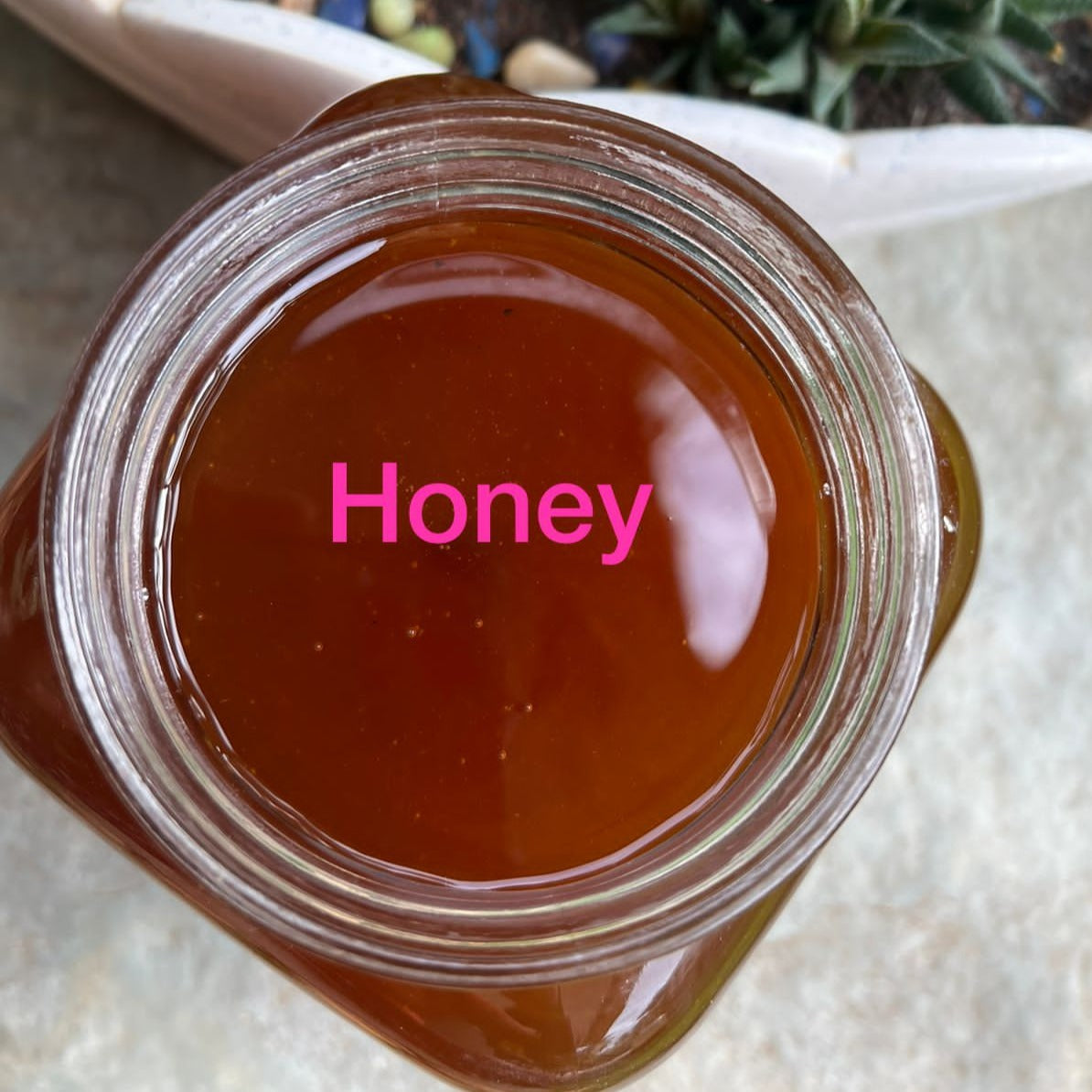 Wild Forest Honey