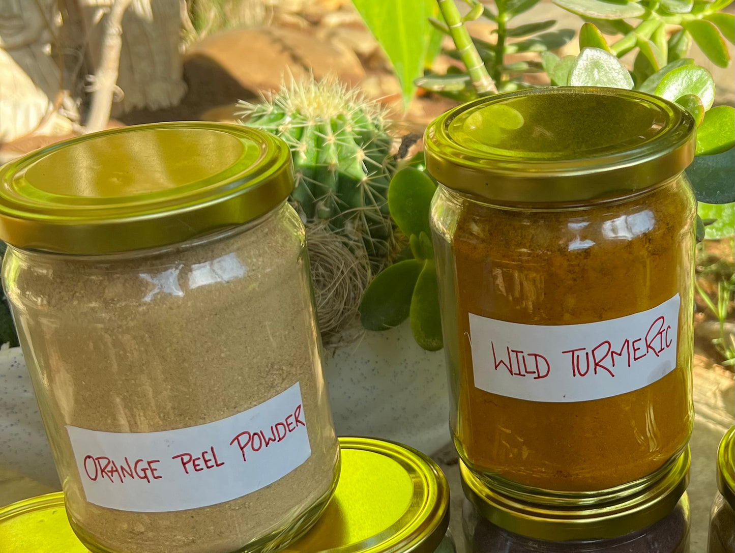 Tattvéd Wild Turmeric - product image