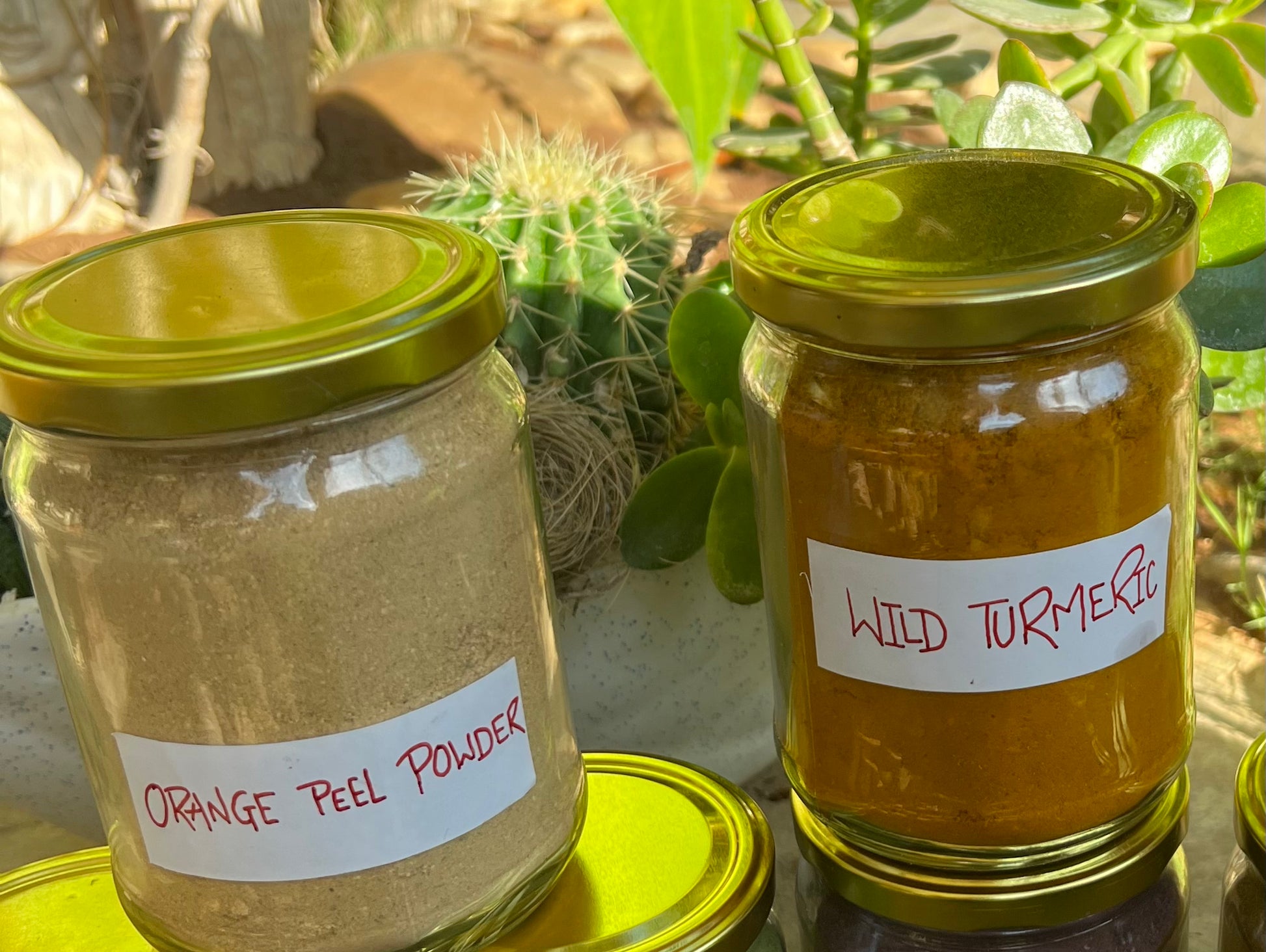 Tattvéd Wild Turmeric - product image