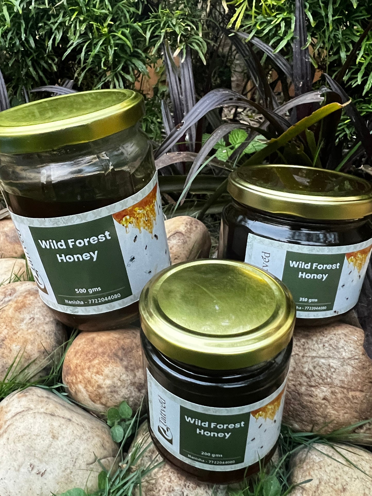 Wild Forest Honey